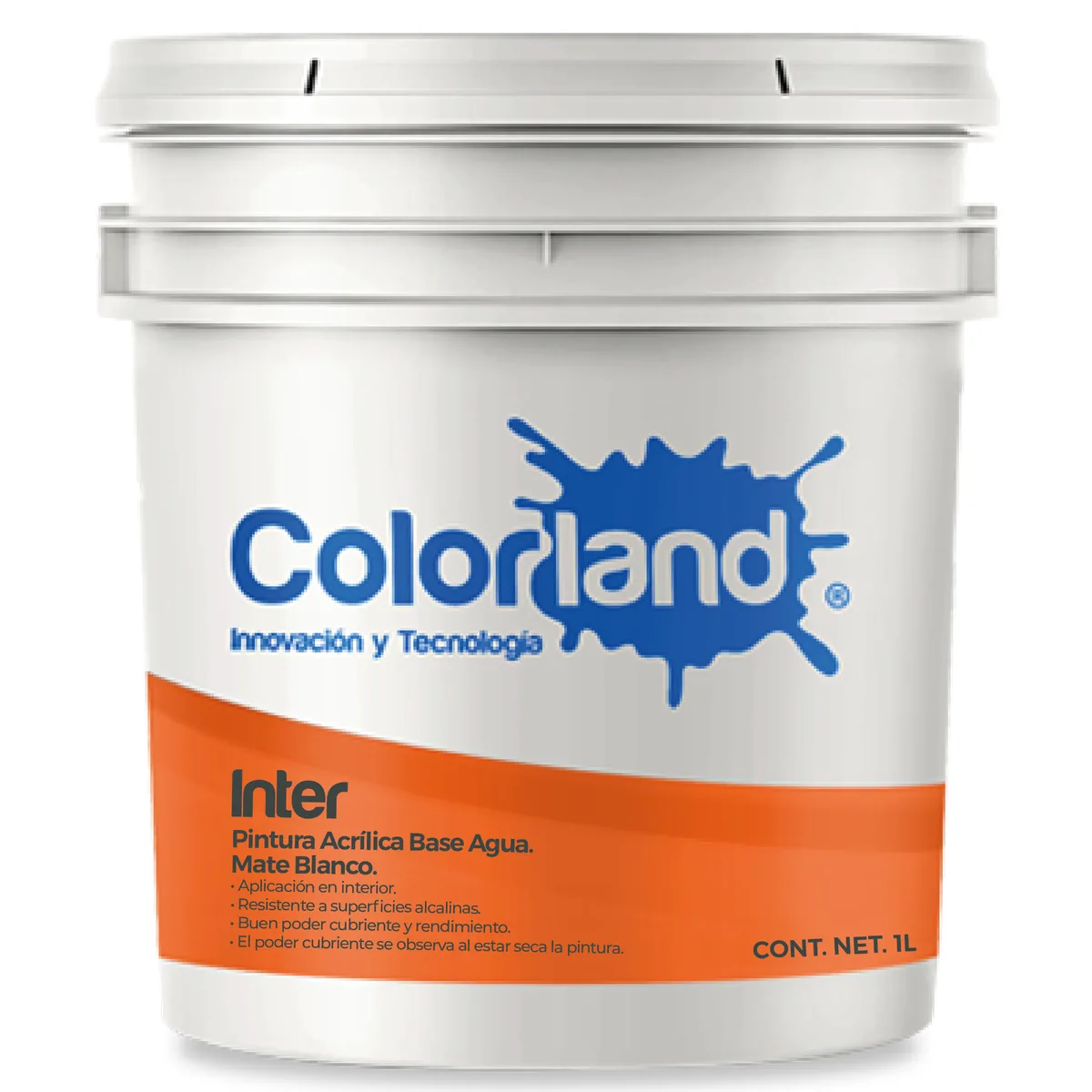 Colorland Inter