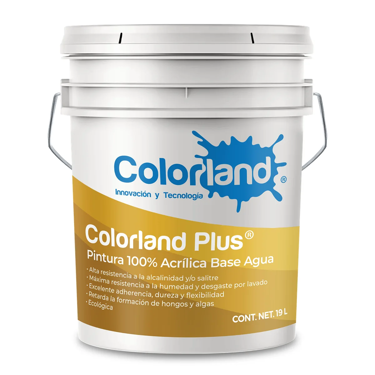 Colorland Plus